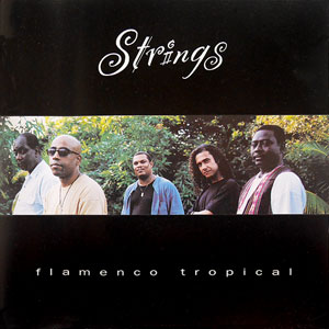 Flamenco Tropical - Strings