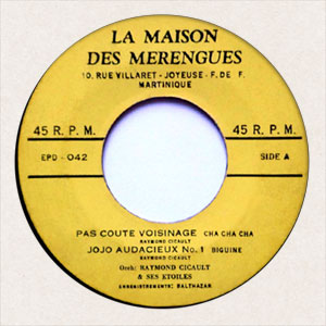 Pas Coute Voisinage - Raymond Cicault