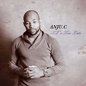 It's Too Late - Anju.C