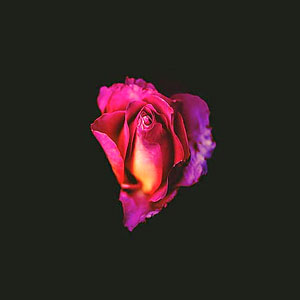 Vocal Vulnerability (Afro-Futuristic Jazz) - Kingsley Kings Laurent